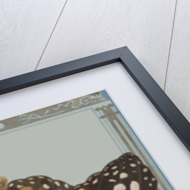 Postcard of Child Riding on Butterfly by Anonymous