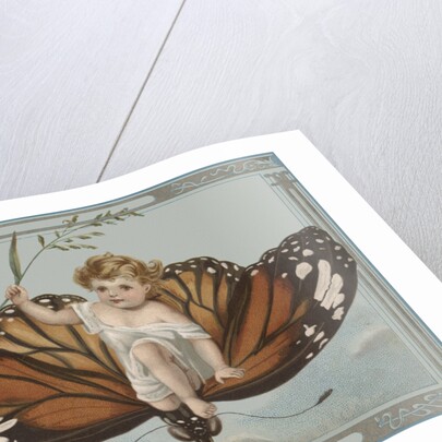 Postcard of Child Riding on Butterfly by Anonymous