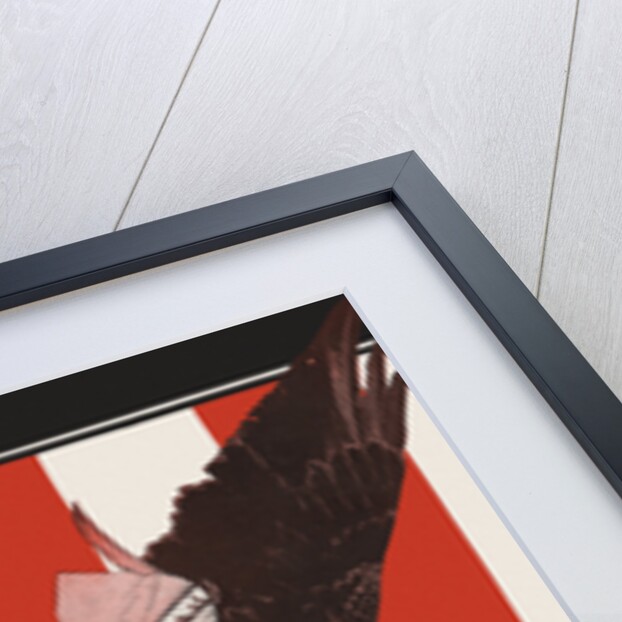 Magazine Illustration of Child Riding on Bald Eagle by Anonymous