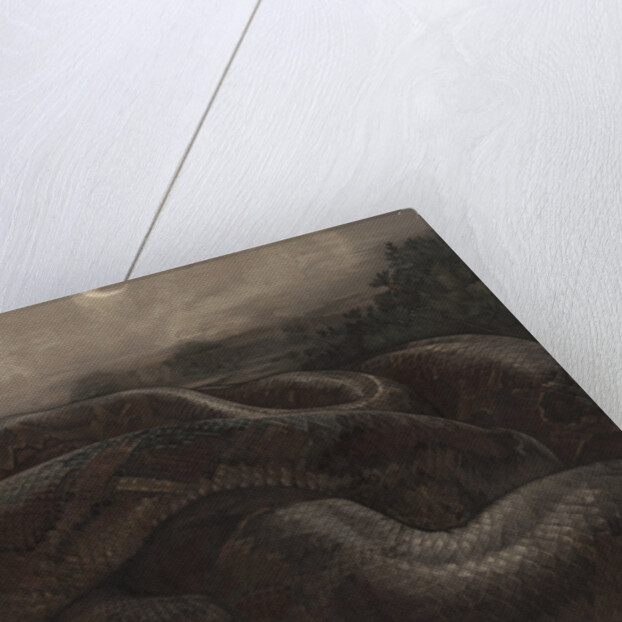 Kaa the Python by Charles Maurice Detmold