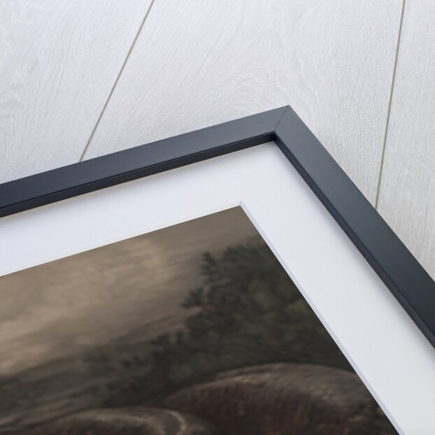 Kaa the Python by Charles Maurice Detmold