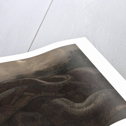 Kaa the Python by Charles Maurice Detmold