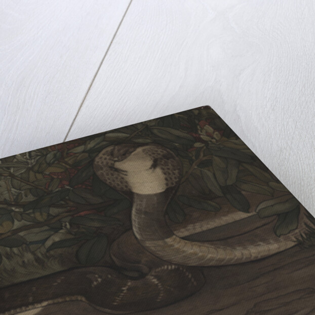 Rikki-Tikki by Charles Maurice Detmold