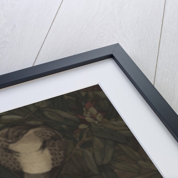 Rikki-Tikki by Charles Maurice Detmold