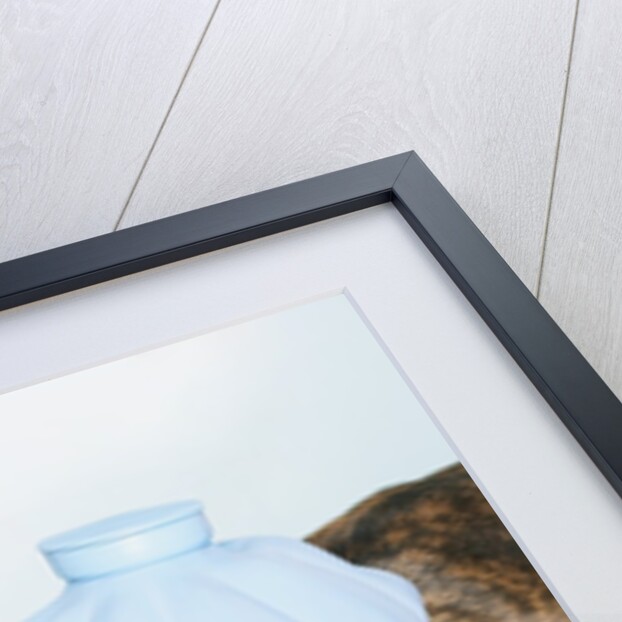 English bulldog feeling sick by Anonymous