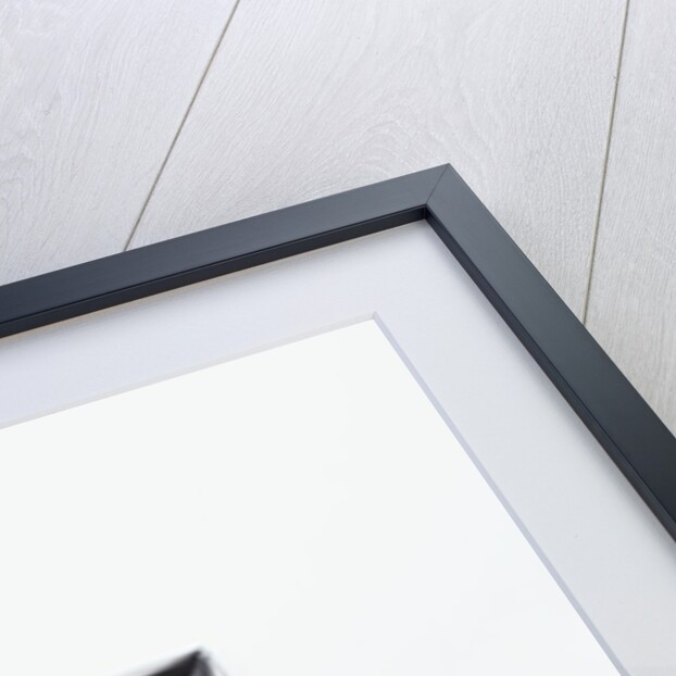 Great Dane on bed by Anonymous