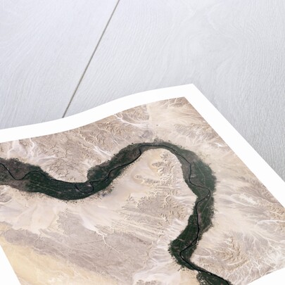 Bend in the River Nile by Anonymous