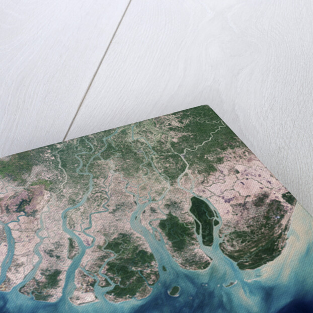 Erosion Due to Clearing of Mangrove Forests in the Irrawaddy River Delta by Anonymous