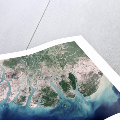 Erosion Due to Clearing of Mangrove Forests in the Irrawaddy River Delta by Anonymous