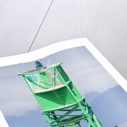Steller Sea Lions on Buoy in Alaska by Anonymous