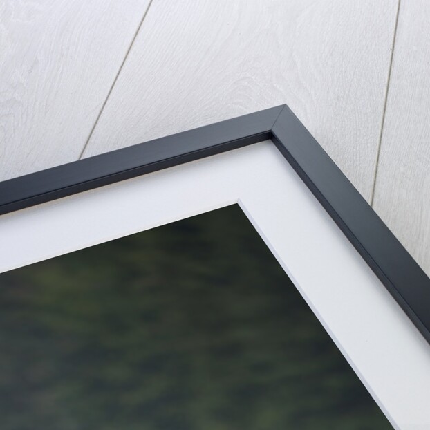 Humpback Whales Feeding in Frederick Sound by Anonymous