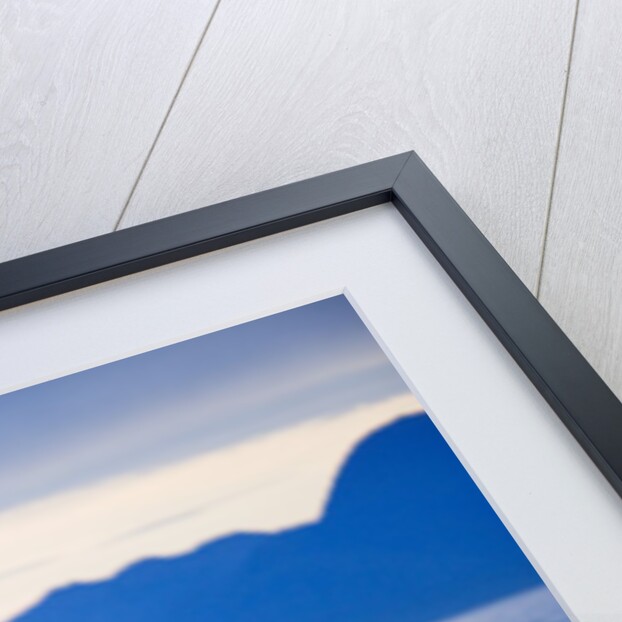 Orca or Killer Whale in Frederick Sound by Anonymous