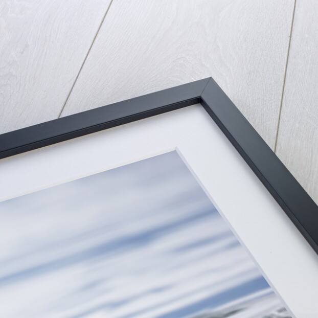 Pod of Orca Whales in Stephens Passage by Anonymous