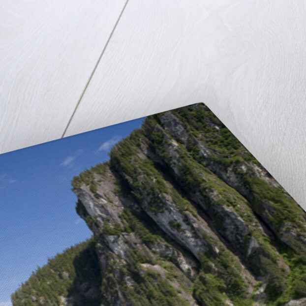 Steep Cliffs Along Snettisham Bay in Alaska by Anonymous