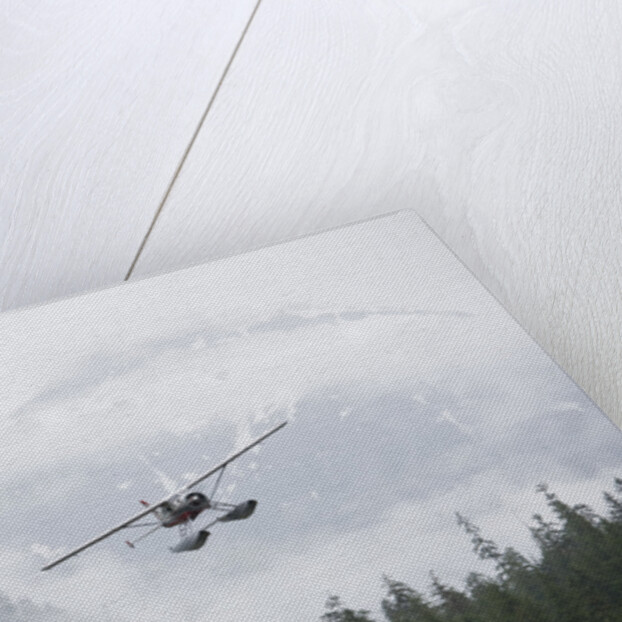 Floatplane above Rainforest in Misty Fjords National Monument by Anonymous