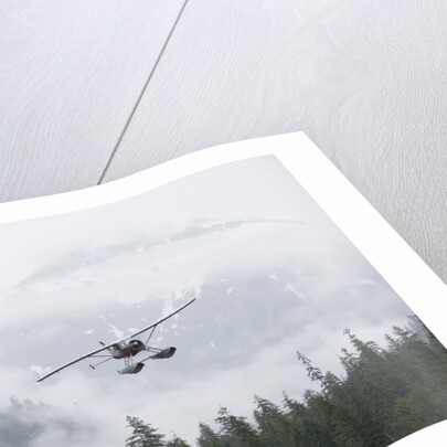 Floatplane above Rainforest in Misty Fjords National Monument by Anonymous