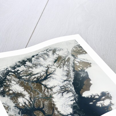 Retreating Ice Shelves on Ellesmere Island by Anonymous