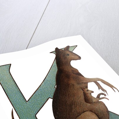 K Is For Kangaroo Illustration by Anonymous