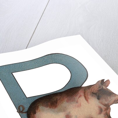 Pig Is For Pig Illustration by Anonymous