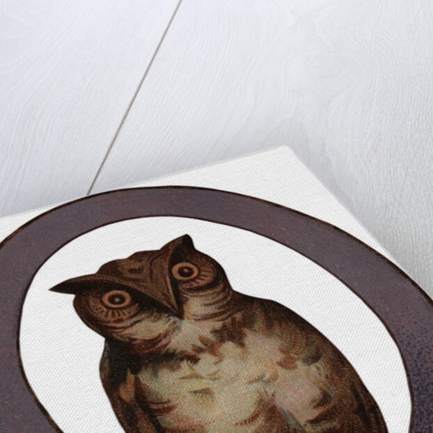 Owl Is For Owl Illustration by Anonymous