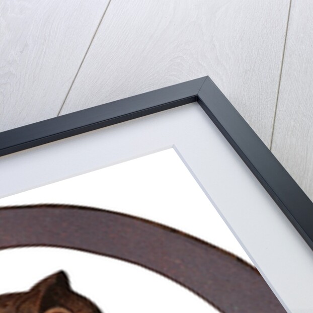 Owl Is For Owl Illustration by Anonymous