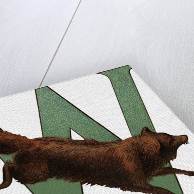 W Is For Wolverine Illustration by Anonymous