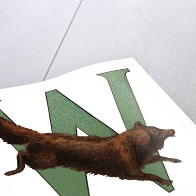 W Is For Wolverine Illustration by Anonymous
