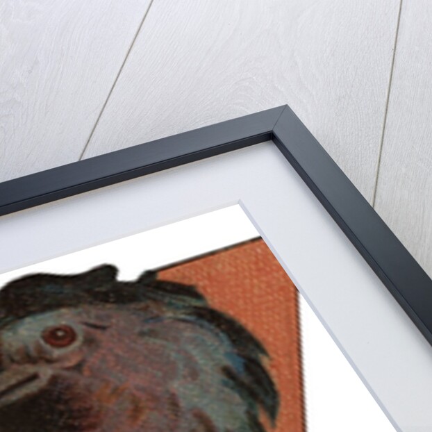 V Is For Vulture Illustration by Anonymous