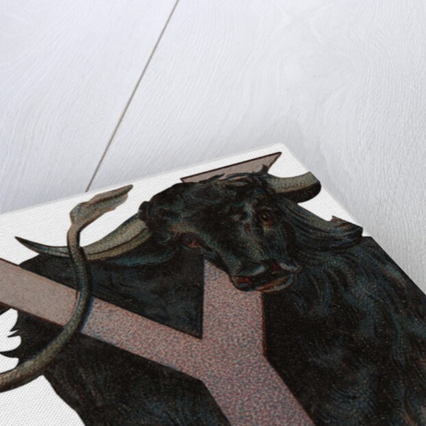 Y Is For Yak Illustration by Anonymous