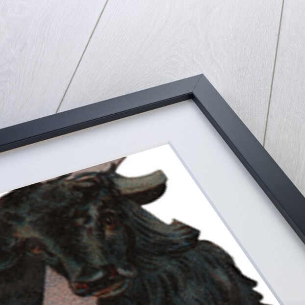 Y Is For Yak Illustration by Anonymous