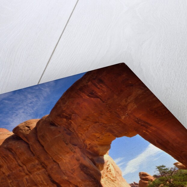 Pine Tree Arch in Arches National Park by Anonymous