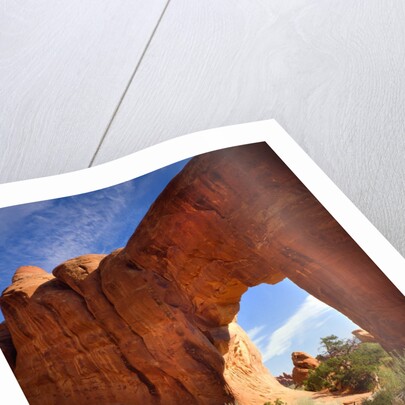 Pine Tree Arch in Arches National Park by Anonymous