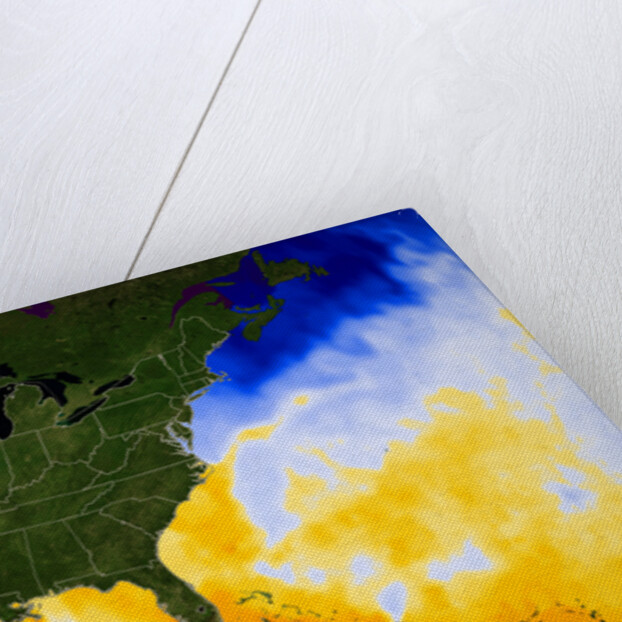 Sea Surface Temperature Map by Anonymous