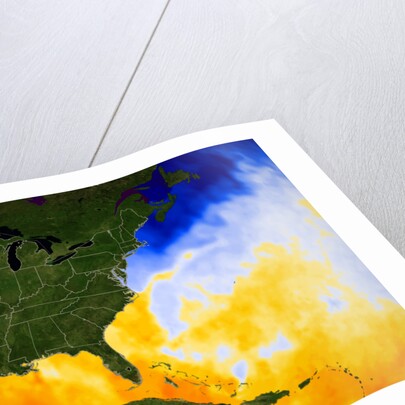Sea Surface Temperature Map by Anonymous