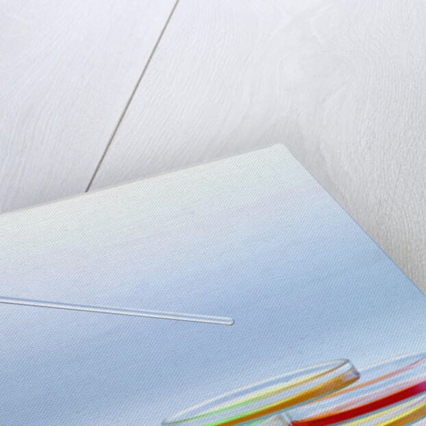 Petri Dishes by Anonymous