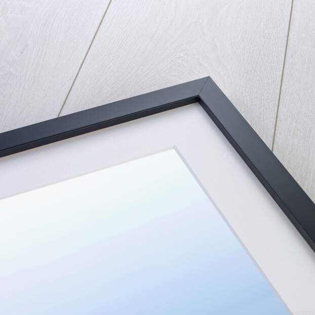 Petri Dishes by Anonymous