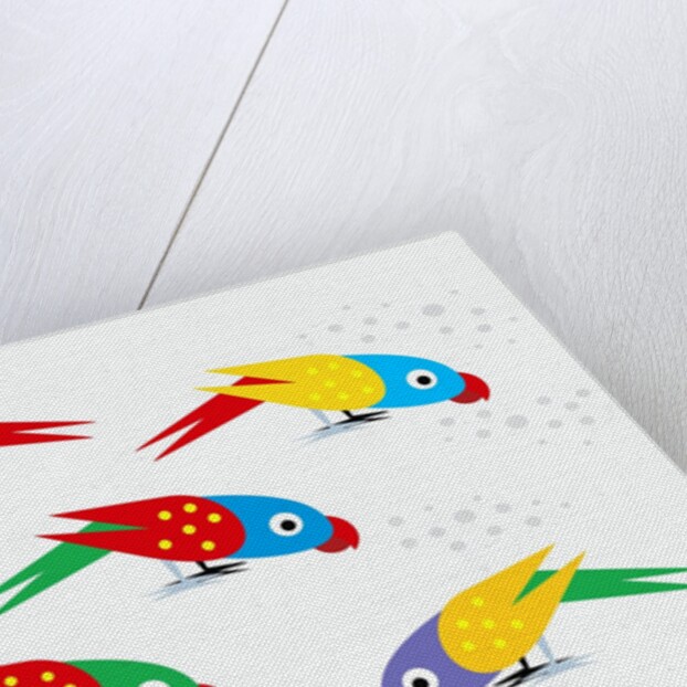 Five parrots pecking birdseed by Anonymous