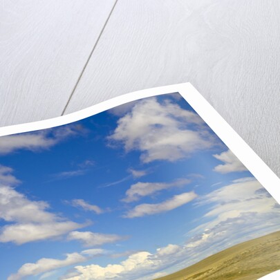 Paved Highway across Pampas by Anonymous