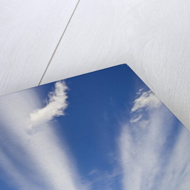 Lenticular and Cumulus Clouds by Anonymous