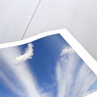 Lenticular and Cumulus Clouds by Anonymous