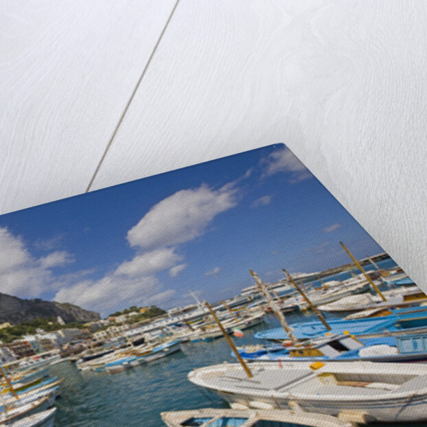 Port and Village of Marina Grande by Anonymous