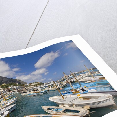 Port and Village of Marina Grande by Anonymous