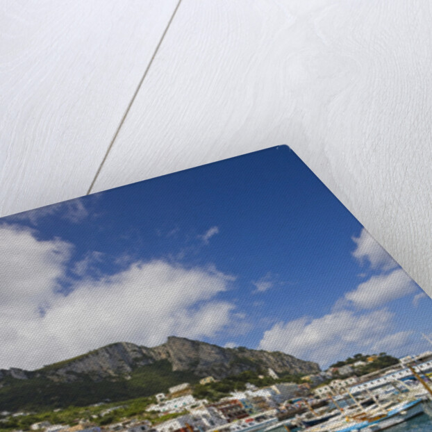 Port and Village of Marina Grande by Anonymous