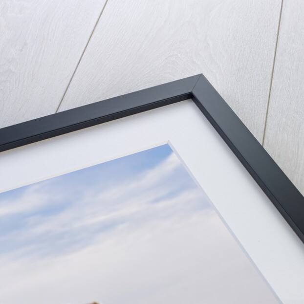 Gate of Heavenly Peace by Anonymous