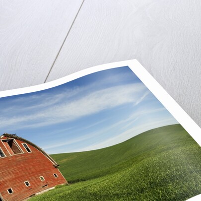 Red Barn in Palouse Country by Anonymous