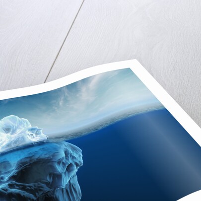 Melting Iceberg by Anonymous