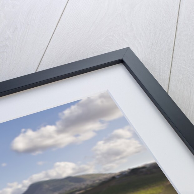 Vineyards Near Partinico on Sicily by Anonymous
