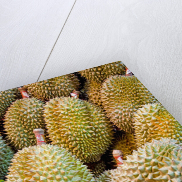 Durian at Tai Po Market in Hong Kong by Anonymous