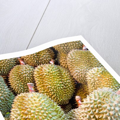 Durian at Tai Po Market in Hong Kong by Anonymous