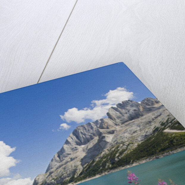 Fedaia Lake and Marmolada by Anonymous